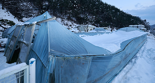 2024 폭설 피해 이웃돕기